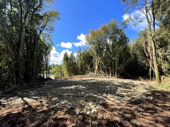 Terreno listo para construir, Tiny Belbén